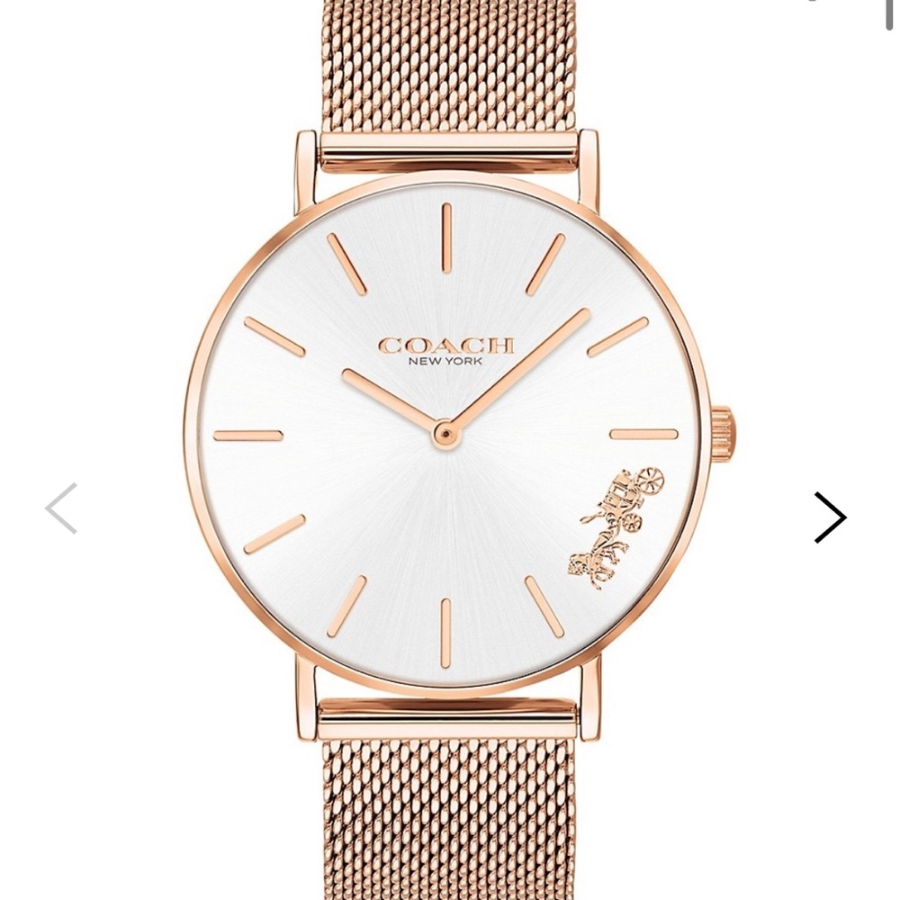 Coach Rose Gold Watch - Stainless Steel Mesh